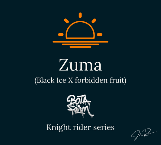 Zuma